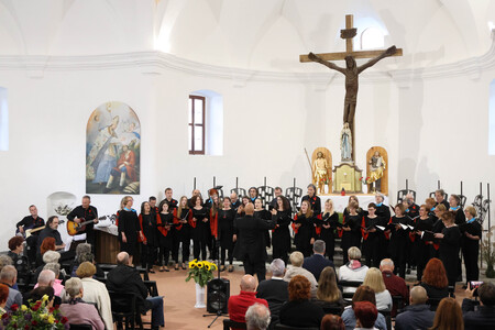 KOMORNI ZBOR FRAN GERBIČ LETNI KONCERT 62 FOTO LJUBO VUKELIČ